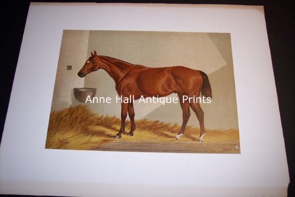 Henry Stull Horse Print