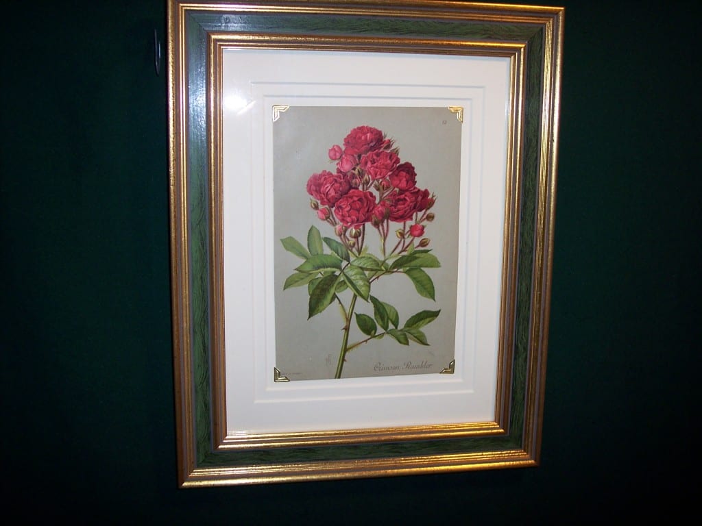 old print of roses