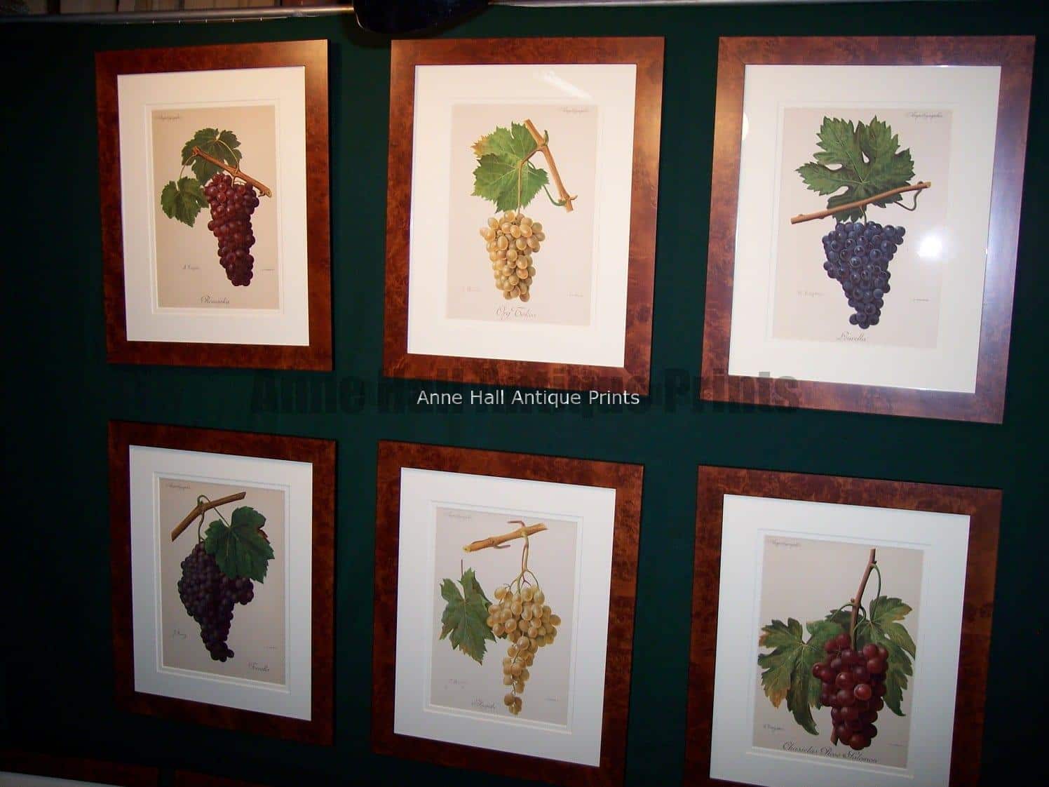 set of six antique wine grapes lithographs framed in burlwood picture frames.