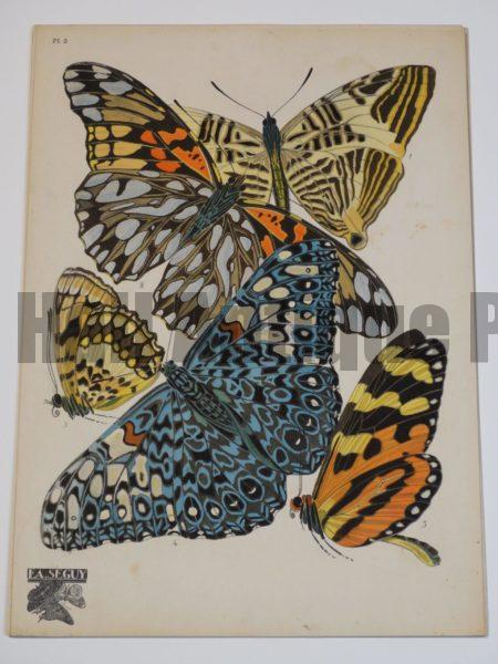 stenciled pochoir butterflies
