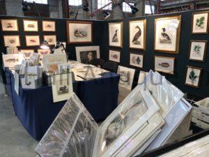 Antiques shows and other events for 2021 & 2022. Anne Hall Antique Prints, where decorative antique prints meets interior design!