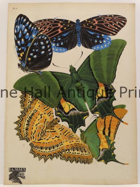 Seguy Insectes Papillons: Pochoir Butterflies, Bugs by E.A. Seguy, Paris.
