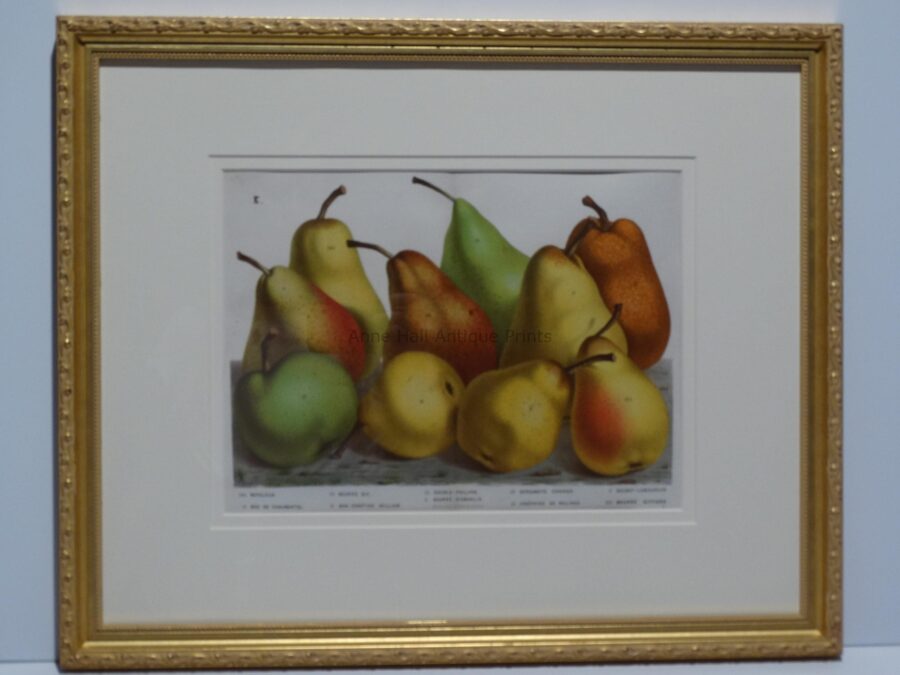 decorative wall hanging pears
