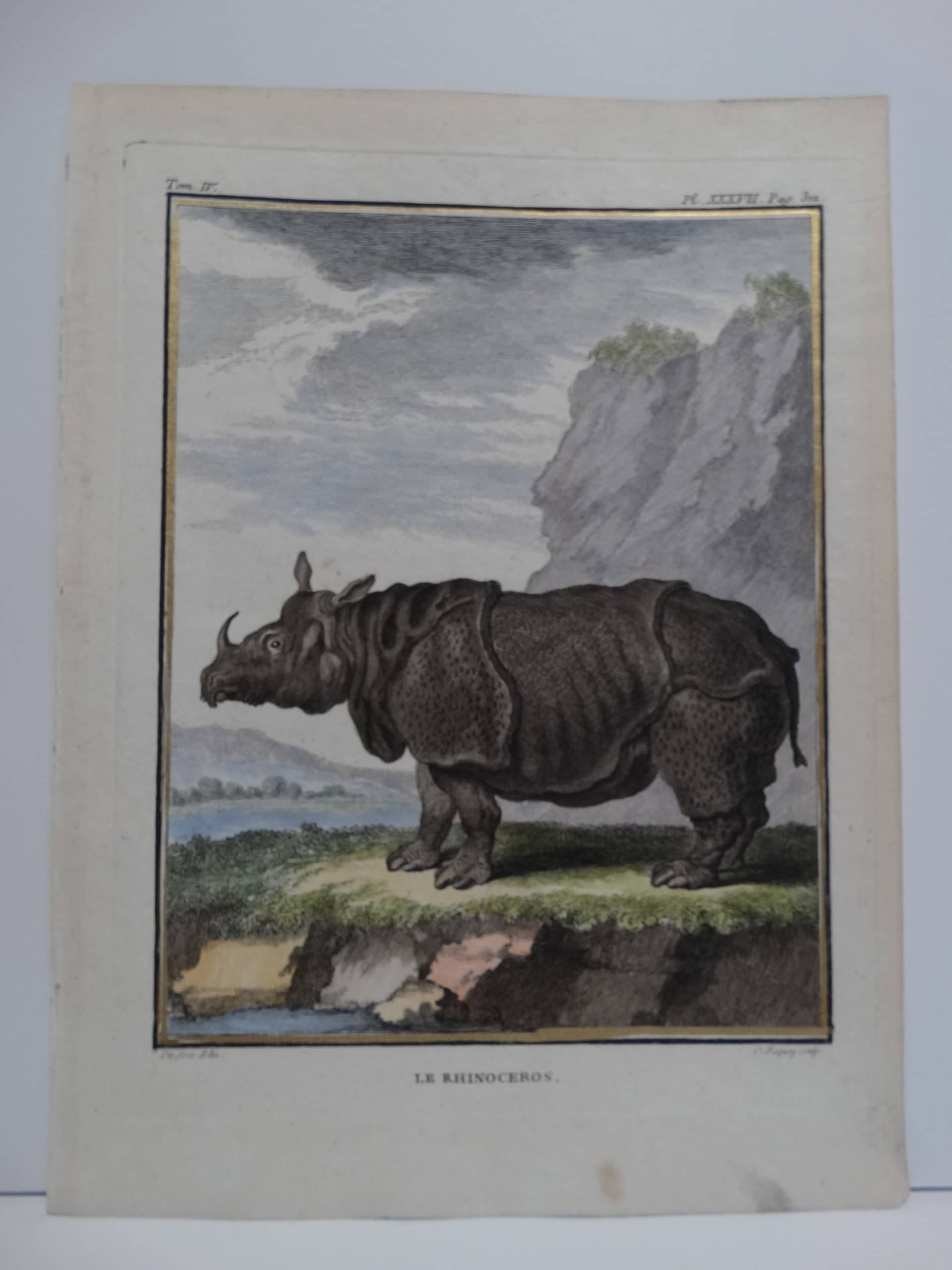 This antique print is a 18th century hand-colored engraving of a thick armoured rhinocerous with one horn.