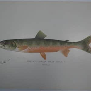historic antique trout art