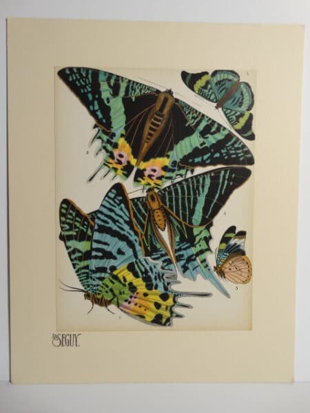 Seguy Pochoir Butterfly Design NoS7