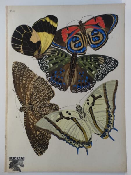 E.A. Seguy Papillons Butterfly Pl.12. French art deco pochoir painting at it's height.