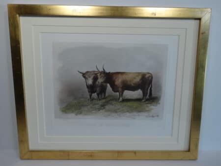 A beautifully framed West Highland cattle lithograph from the 1860's. Archival matting, UV glass and gold leaf picture frame.