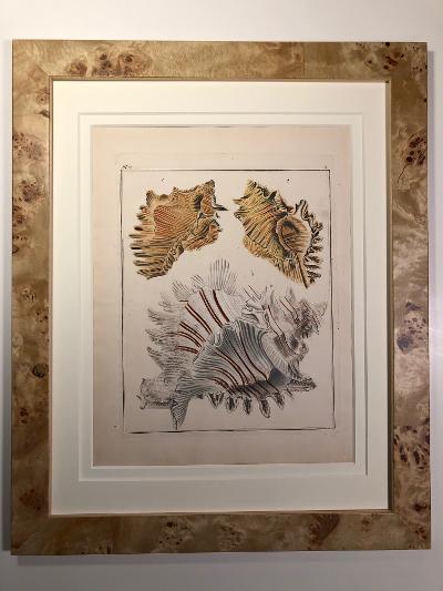 One of a set of 9 framed, antique conchology engravings. Luxury decor and art, for expensive home on the ocean.