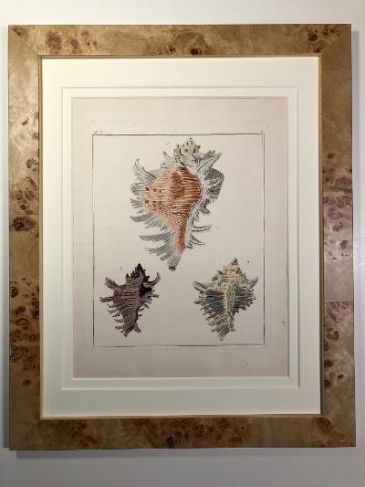 Exquisite art of se-shells, for clients seeking sensational luxury accessories, for their coastal homes.