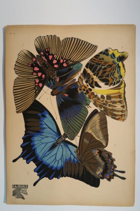 Original pochoir, EASeguy Papillons Plate-16, 1925. The Art Deco, butterfly compositions, have impacted the design industry, for decades.