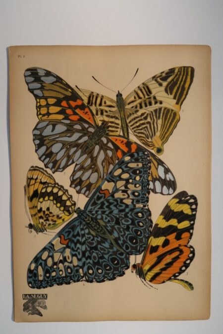 Live with spectacular art, that reflects your interest in design and nature. Own an original pochoir, Plate 3, sourced from E.A.Seguy's Papillons, 1925.