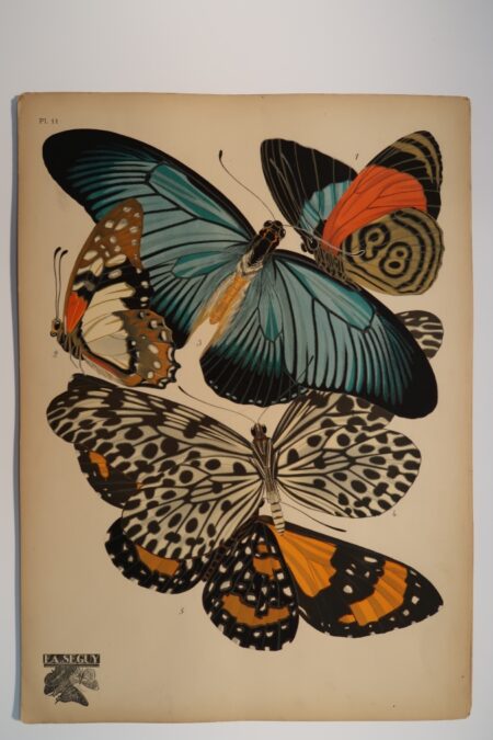 Own an original E.A. Seguy Papillons Plate.