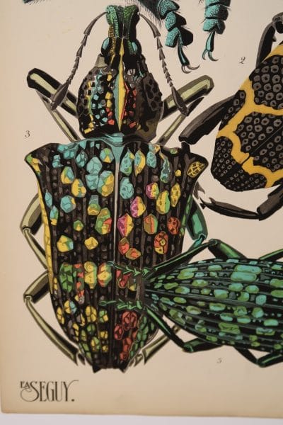 E.A. Seguy's work has influenced the interior design industry since the the published in 1925-1926. Close-up of the exquisite colors, applied by stencils, in a beetle.