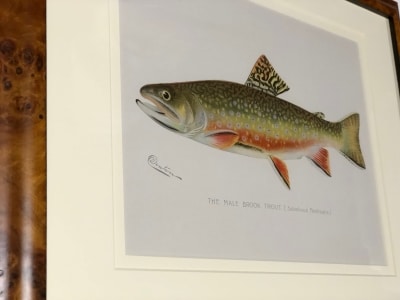 Exceptional art for trout fishermen, a beautifully framed Male Brook Trout, an authentic antique, this lithograph is over 120 years old.
