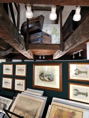 Specialized antiques shop in a 1760 colonial on historic Bowen's Wharf. This Newport art gallery is an Antique Prints Gallery. Photo shows lots of rare old maps, lobsters and sea-life featured. Learn as you buy.