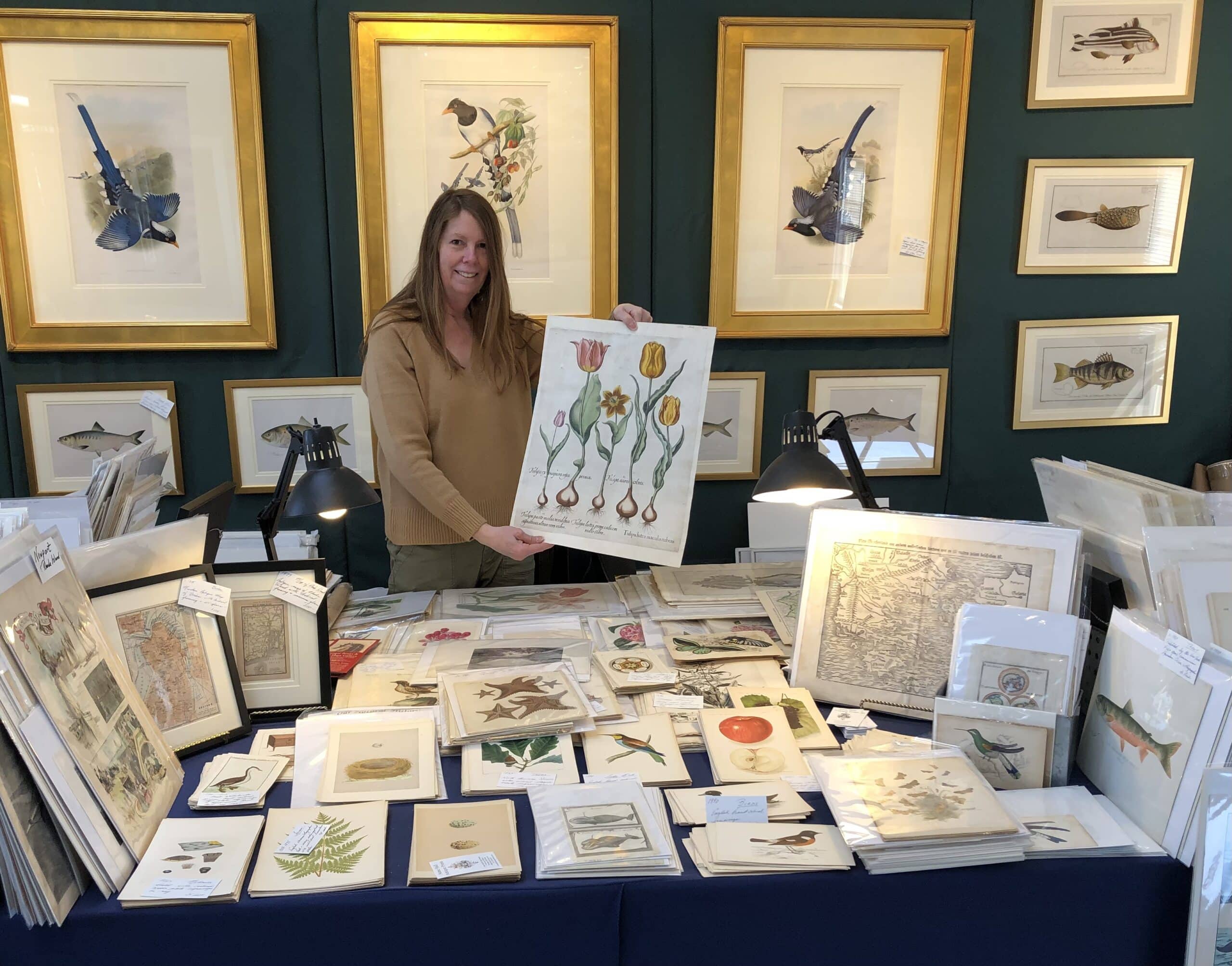 Anne Hall, will help you find the right antique lithographs and hand-colored engravings of flowers and maps to birds.