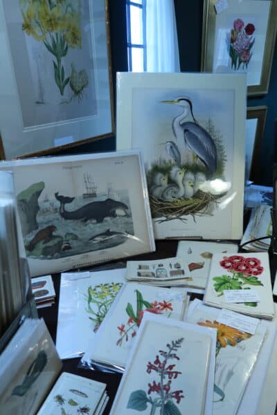 While antiquing in Newport (Rhode Island) see the amazing collections of Anne Hall Antique Maps and Prints. Her Gallery is filled with rare lithographs & engravings, of birds, whales, flowers. Original, over 100 years old.