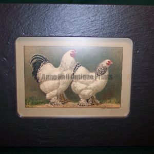 Chicken Chromolithograph Framed, Slate
