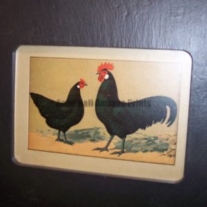 Chicken Chromolithograph Slate #3