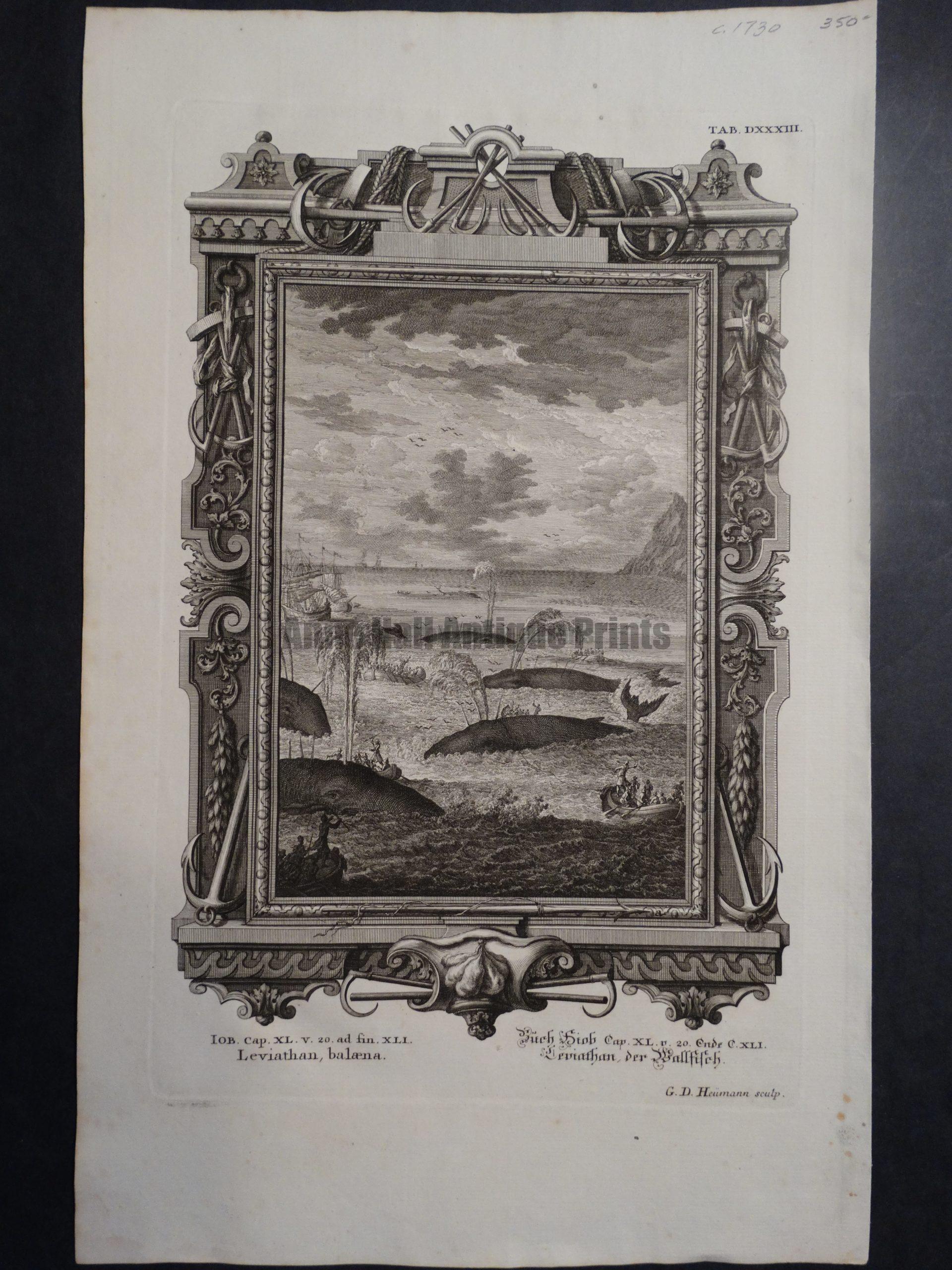 Leviathan, Balaena, c.1730. $350.