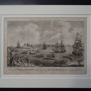 Whale Fishery whaling ships, whaleboats, history, antique engraving of active hunt.