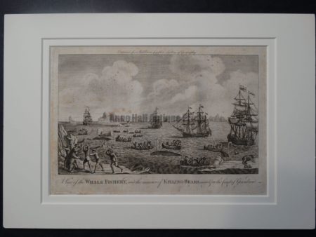 Whale Fishery whaling ships, whaleboats, history, antique engraving of active hunt.