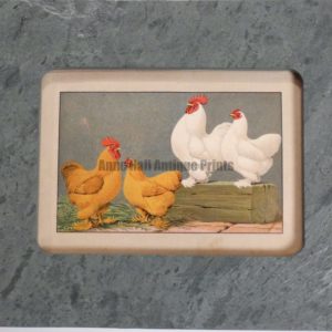 Chickens green slate 1, is a wonderful 1897 antique lithograph, framed in a Vermont slate frame, which is green in color. Scene with 2 pairs of hens and roosters, in white & buff.