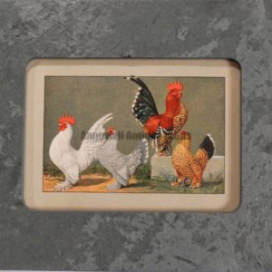 Chickens in Green Slate #2