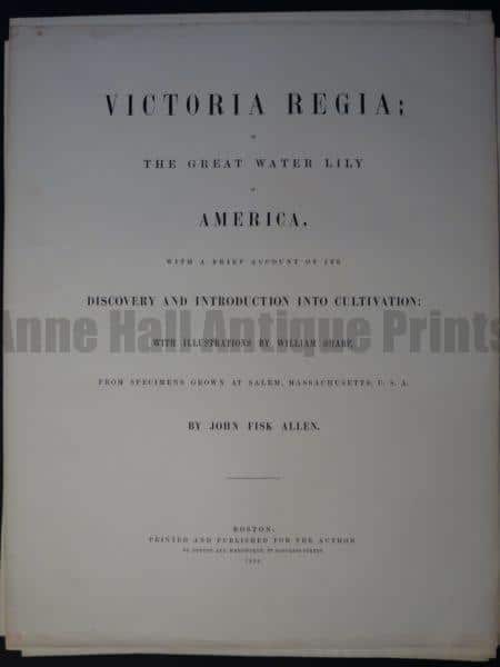 Title Page Victoria Regia The Great Water Lily of America 1854