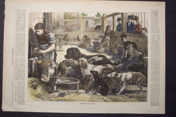 Home for Lost Dogs, January 20, 1872. $60.