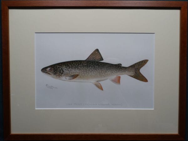 Lake Trout by Denton Framed $165. with free US shipping
