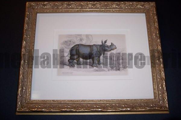 Lizar Indian Rhino Framed, one in a set of 6 antique engravings of African and Asian animals. Wonderful animal expression.