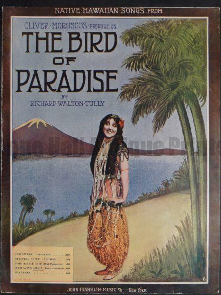 The Bird of Paradise, 1912, wonderful song with hula girl featured in front of a palm tree & volcano..