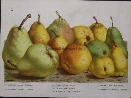 Stunning art of pears