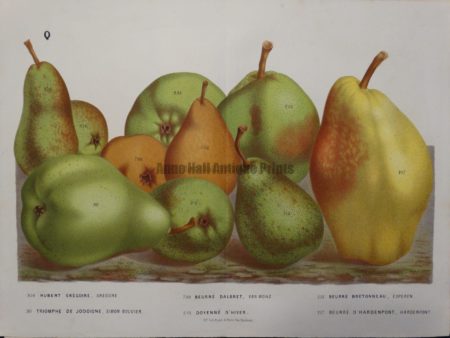 original artwork pears