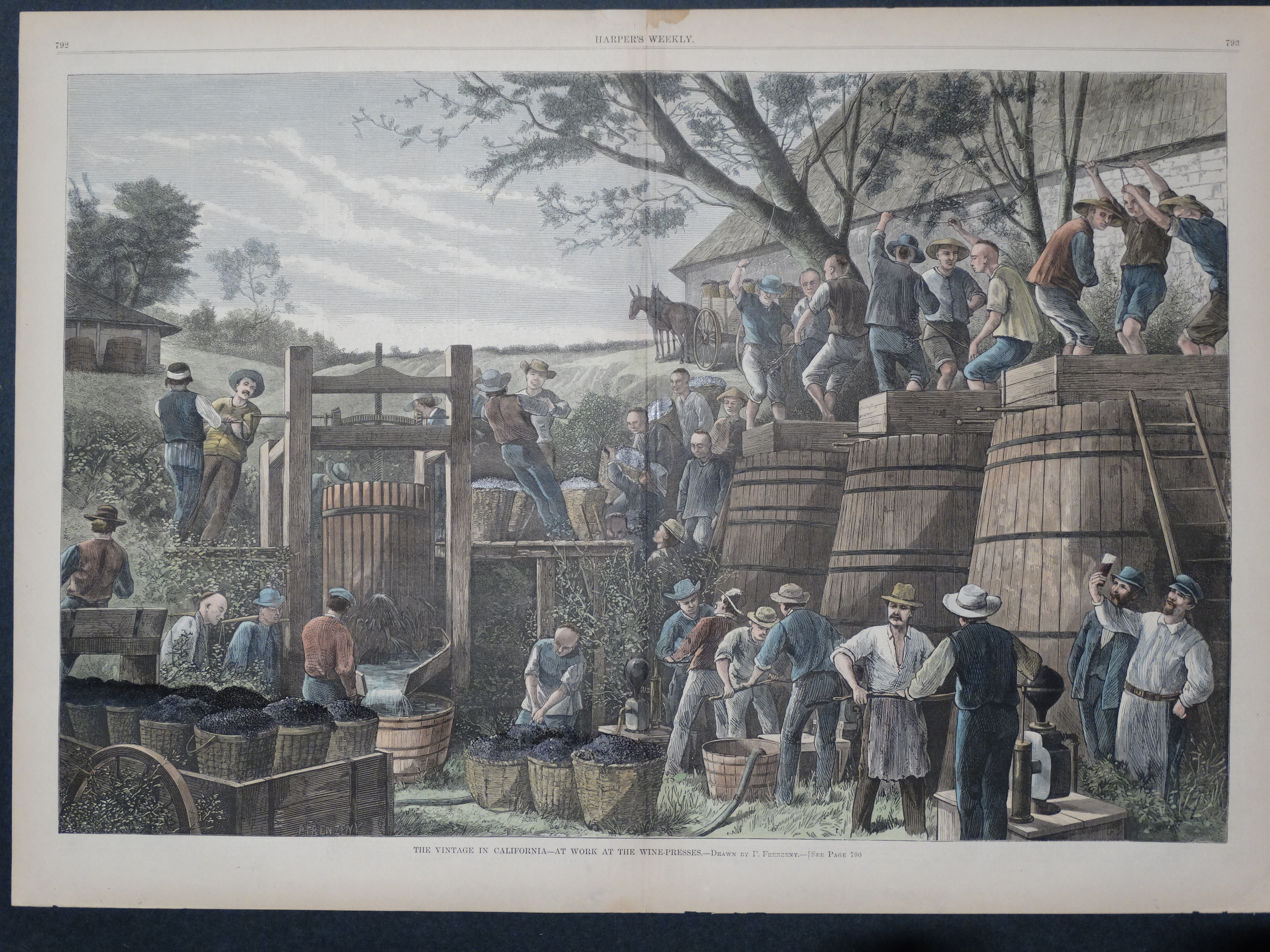 Winemaking in California Anne Hall Antique Prints