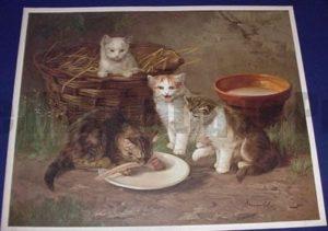 Anxious Moments, an American antique lithograph of DOMESTIC CATS.