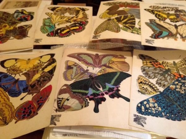 Find art from original portfolios of Seguy Papillons & Insects. Published Paris 1926, at the Height of Art Deco.